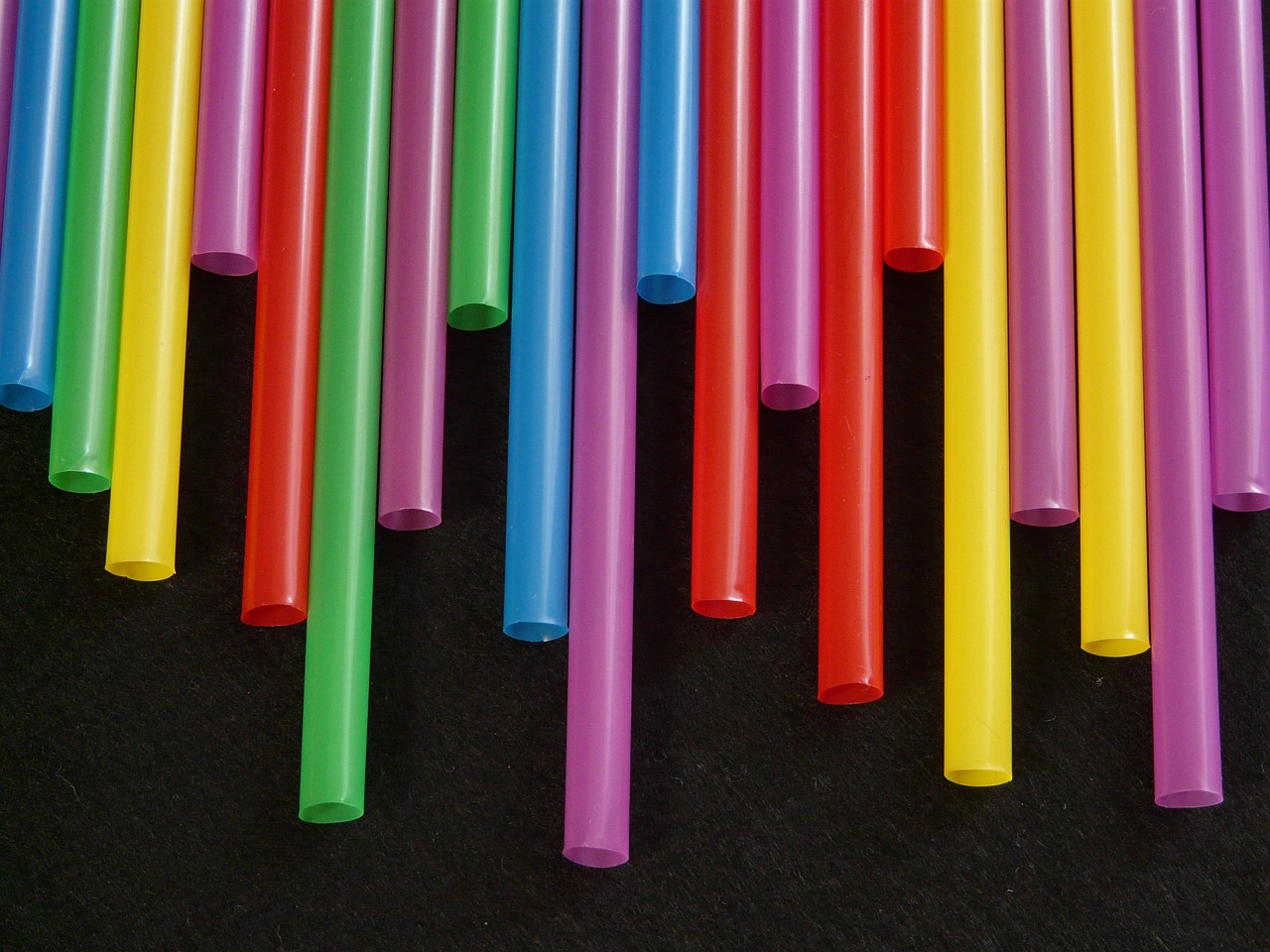 Plastic Pollution - Problem and Solutions